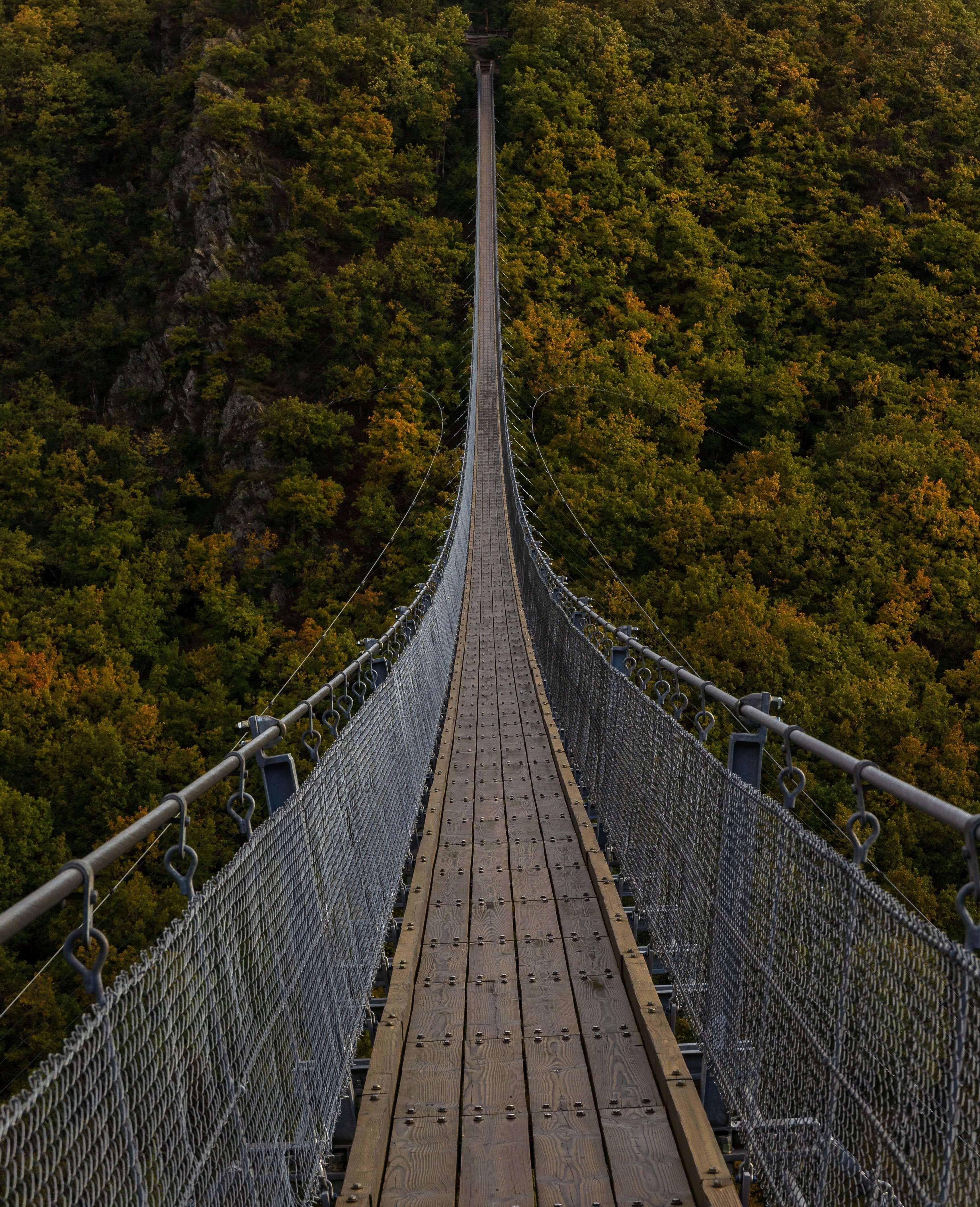 Photo of a very long bridge, over the forest by Maurice Laschet